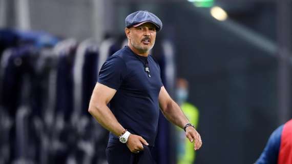 MIHAJLOVIC-GASPERINI, Litigio in campo e fuori