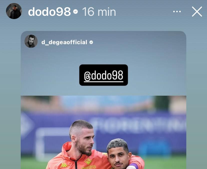 Immagine strip Primo Piano n.2