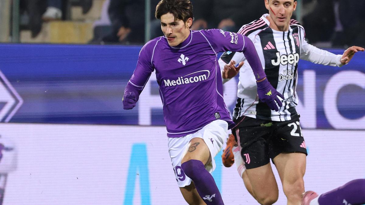 Immagine strip Primo Piano n.2