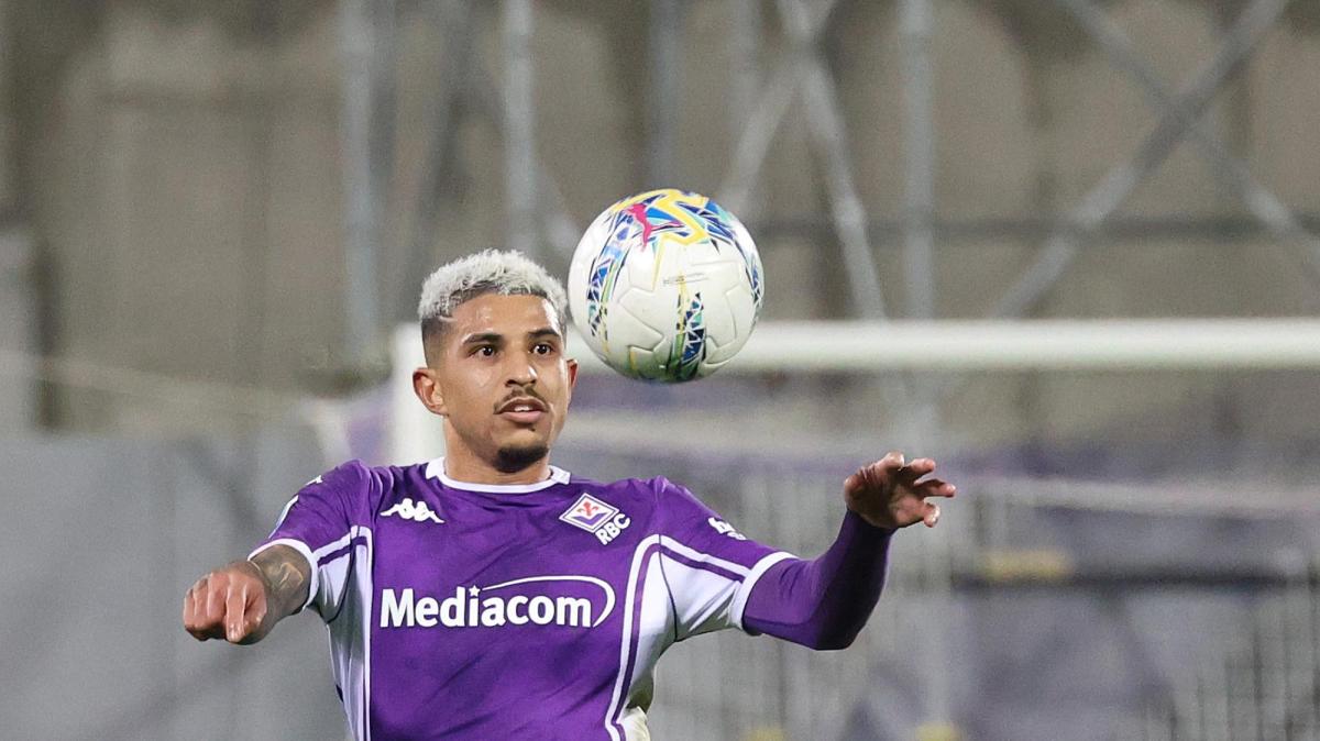 Immagine strip Primo Piano n.2