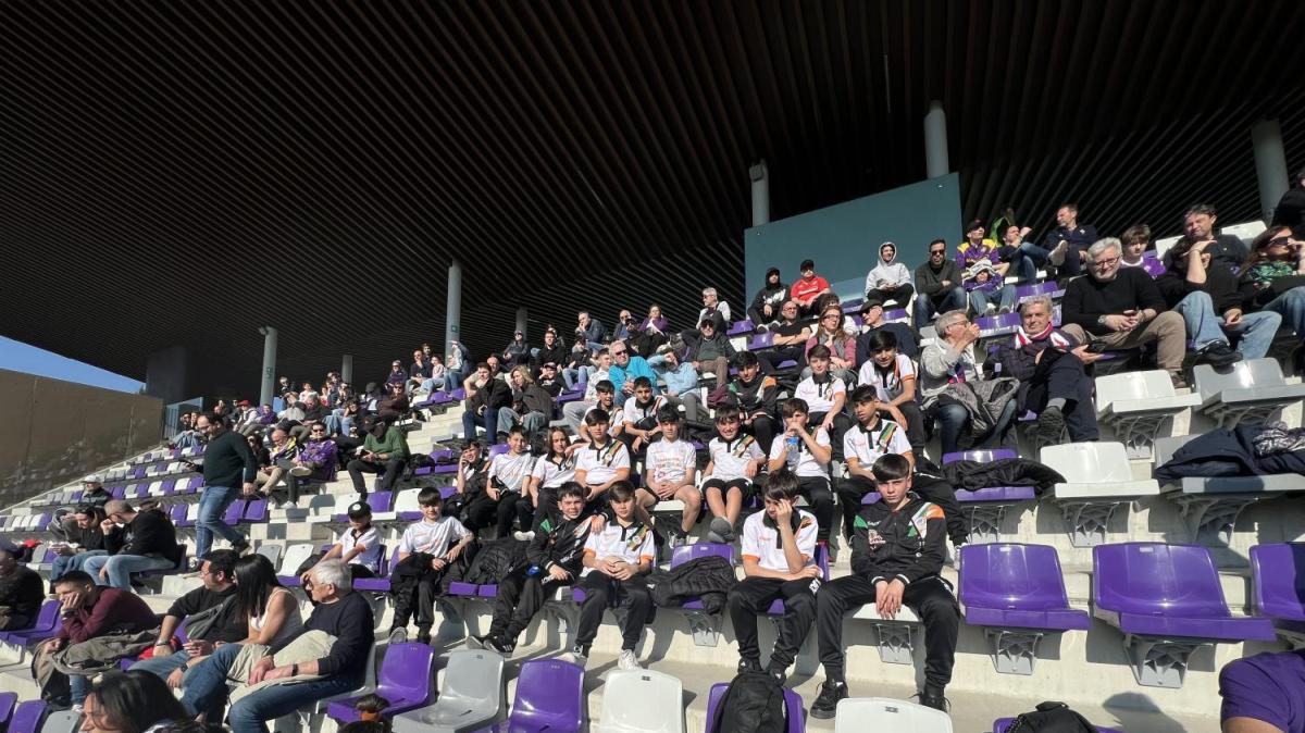 Immagine strip Primo Piano n.2