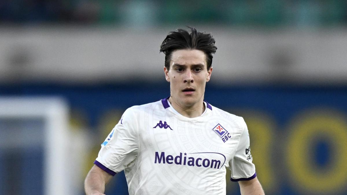 Immagine strip Notizie di FV n.1