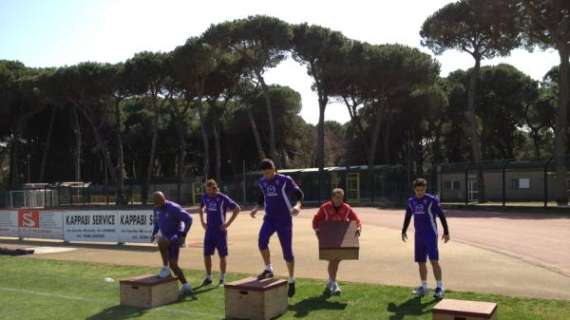 Twitter ufficiale ACF Fiorentina