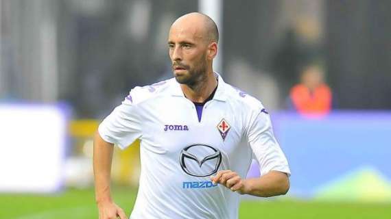 TELELIBERA VIOLA, Il futuro di Borja Valero