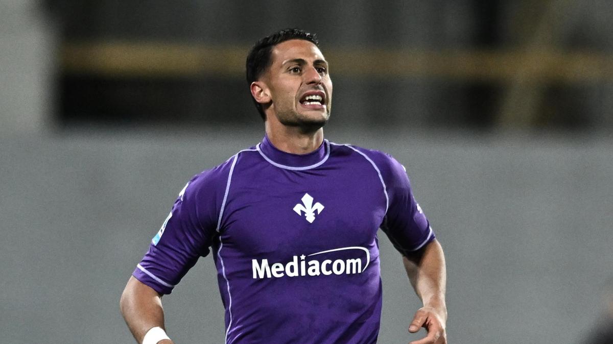 Immagine strip Primo Piano n.2