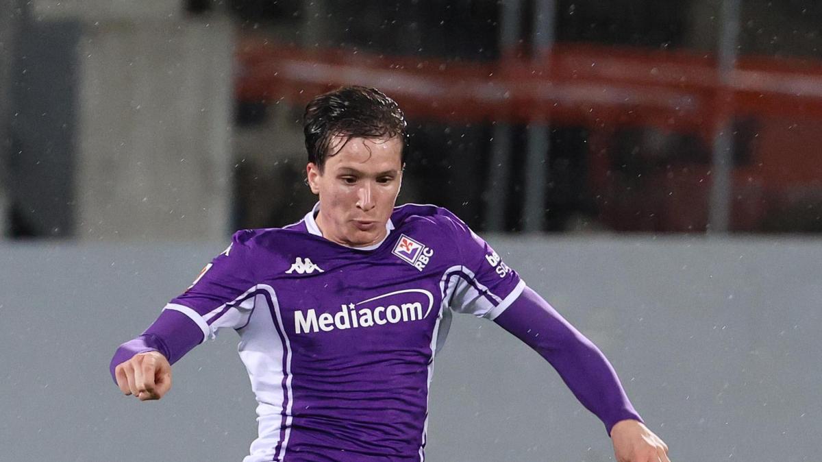 Immagine strip Notizie di FV n.3