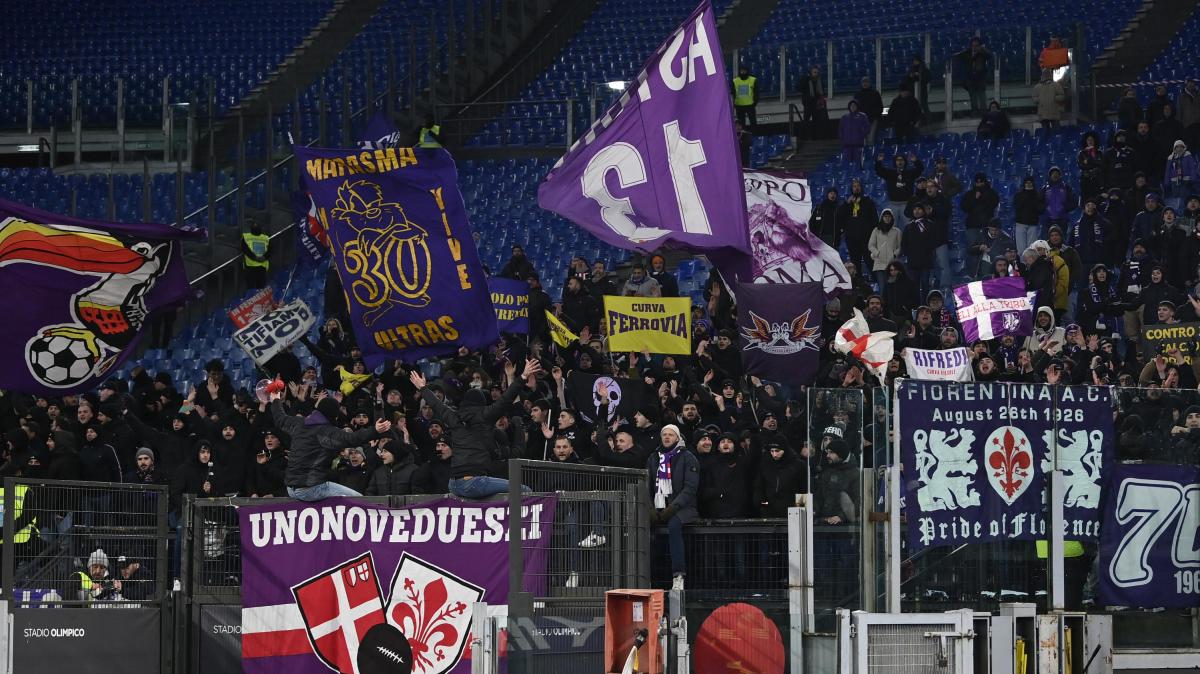 Immagine strip Primo Piano n.2