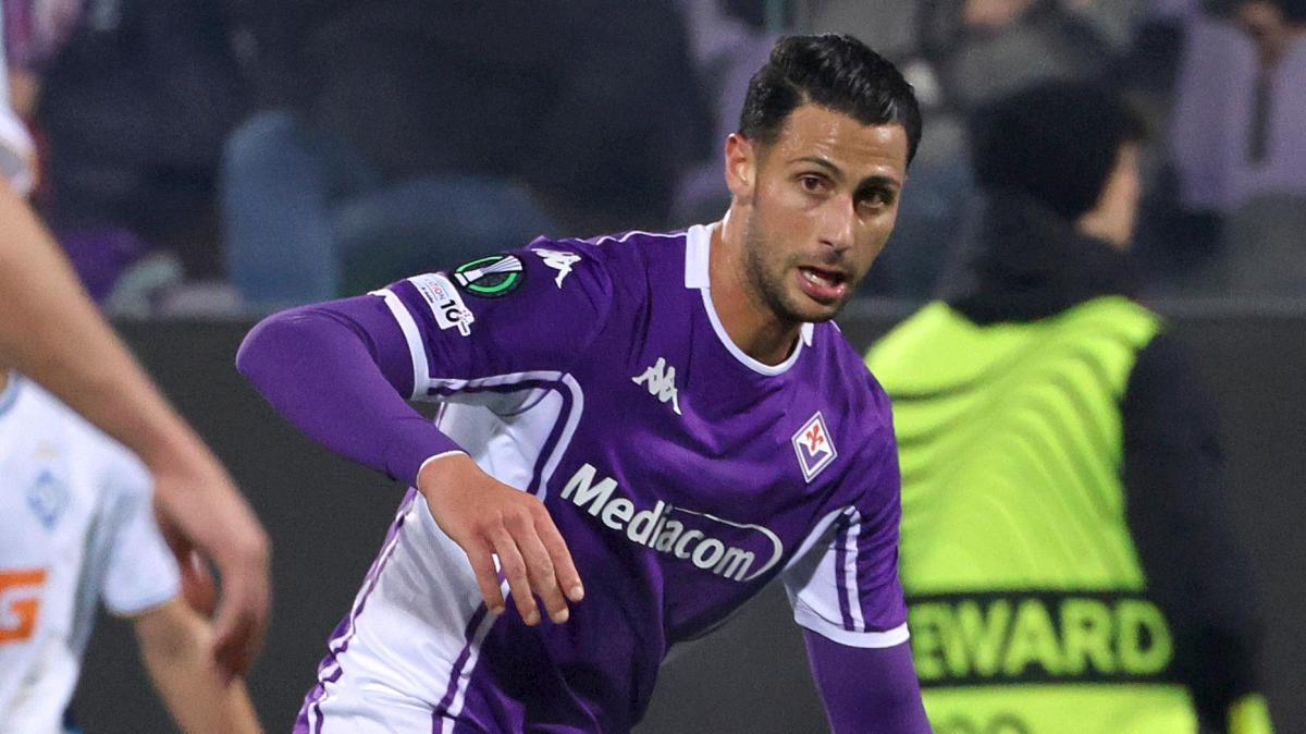 Immagine strip Primo Piano n.3