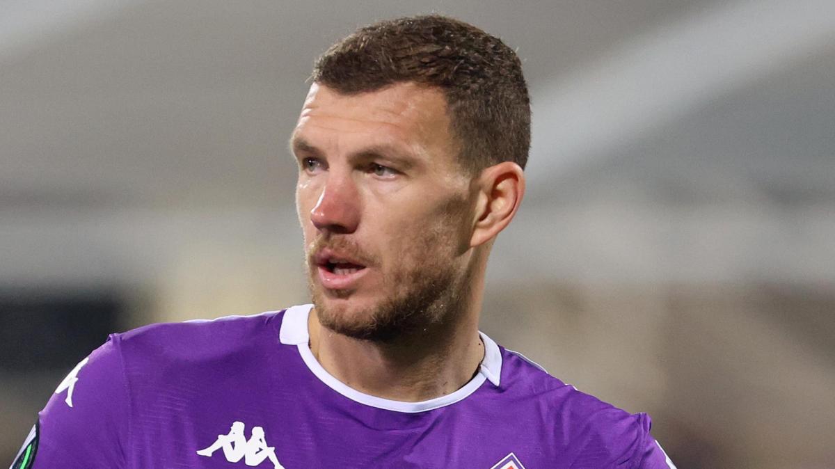 Immagine strip Primo Piano n.2