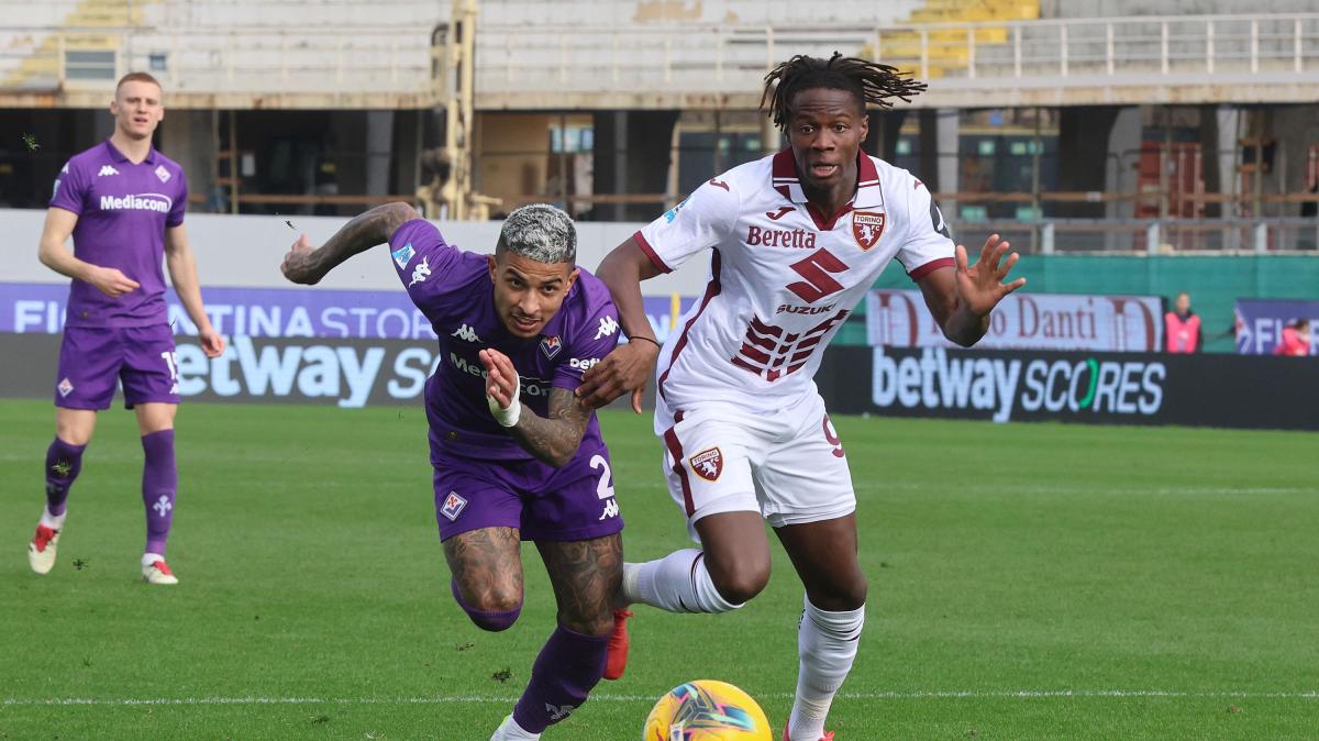 Meno due a Fiorentina-Torino: le statistiche della sfida del Franchi