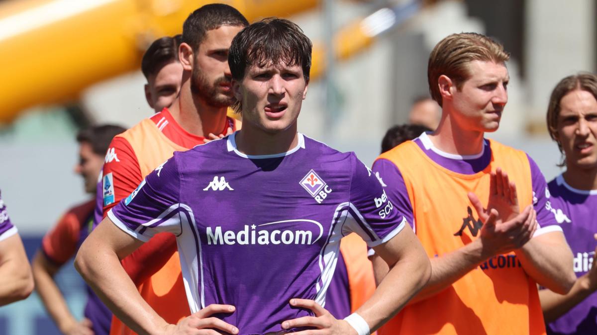 Immagine strip Primo Piano n.4