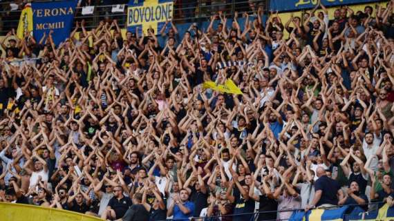 CURVA SUD VERONA, Il gemelleggio coi viola...