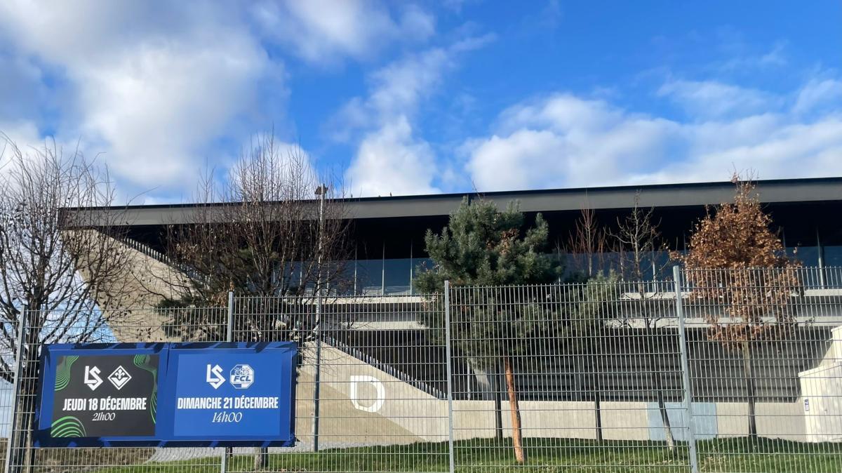 Immagine strip Primo Piano n.3