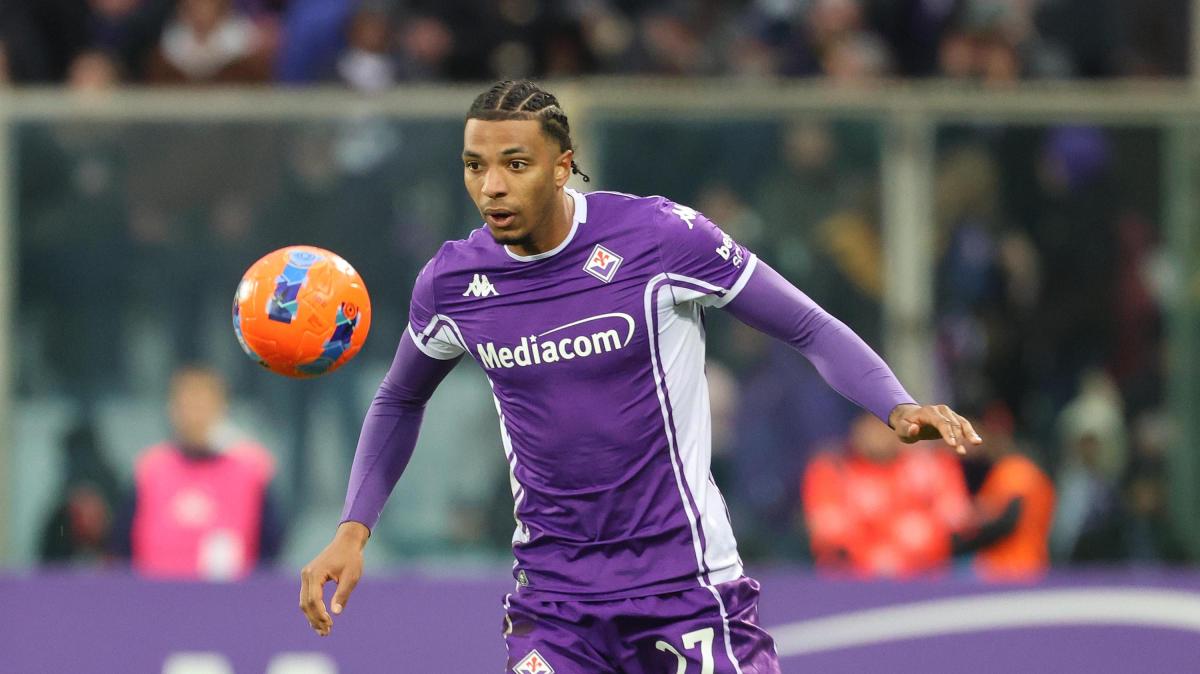 Immagine strip Primo Piano n.3