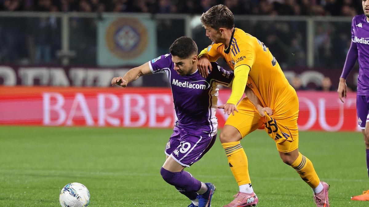 Immagine strip Primo Piano n.2