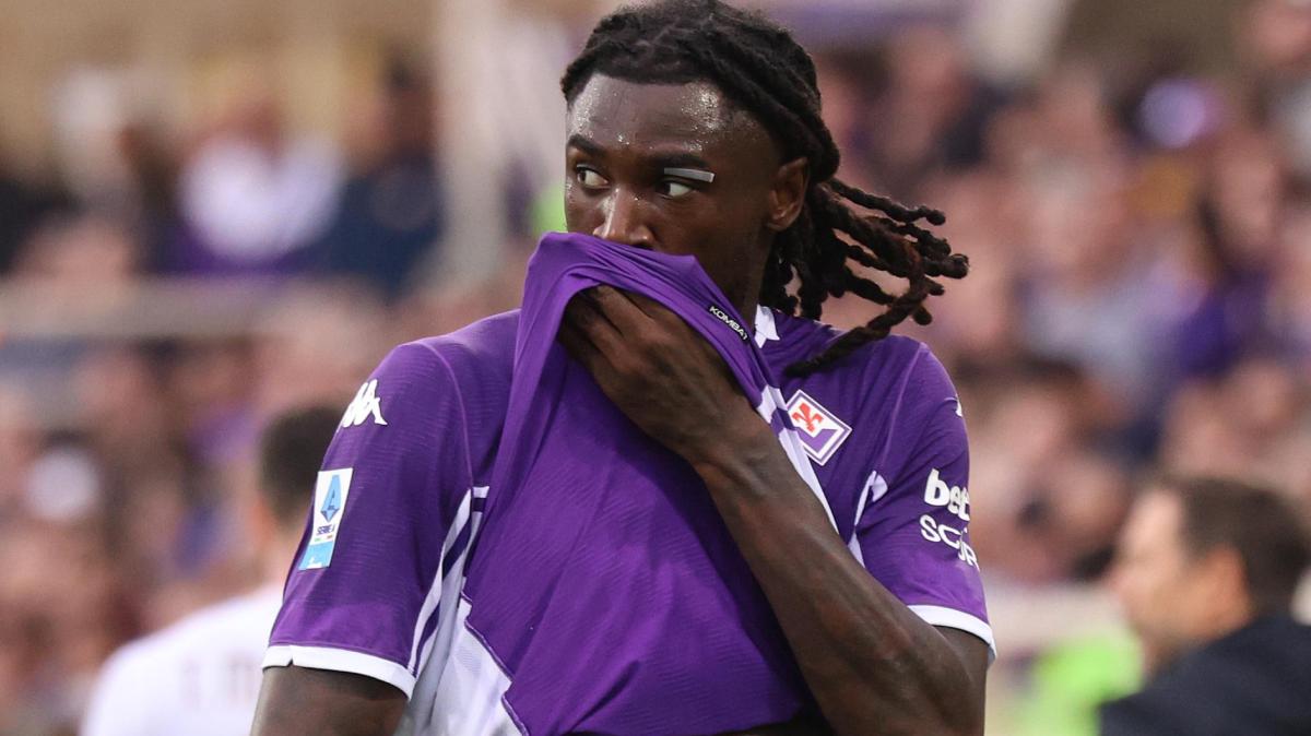 Immagine strip Primo Piano n.2