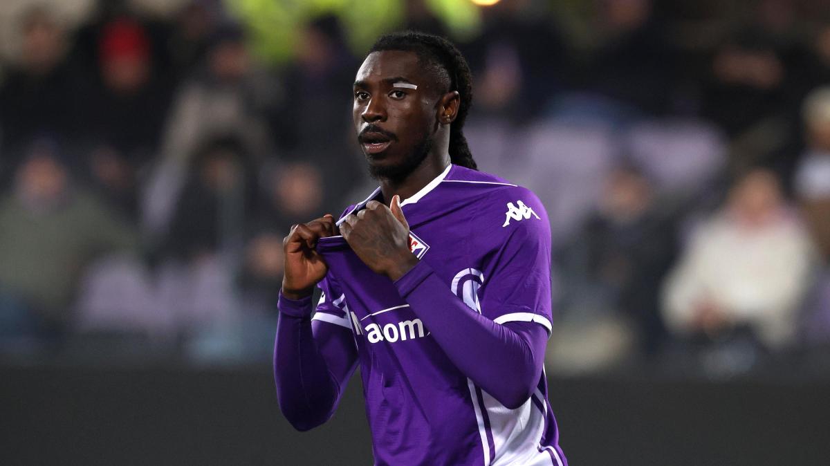 Immagine strip Primo Piano n.2