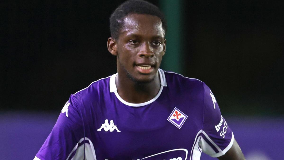 Immagine strip Primo Piano n.2