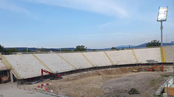 GESTIONE FRANCHI, Viola e Comune valutano 2 soluzioni  