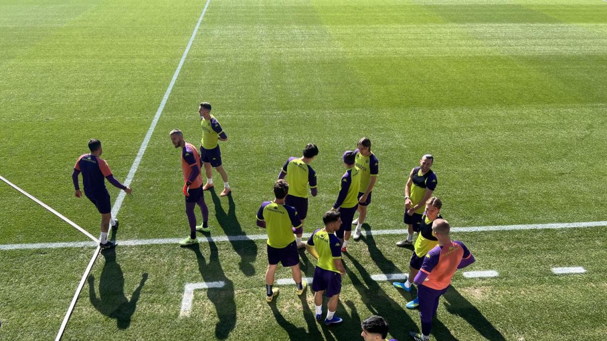 Immagine strip Primo Piano n.4