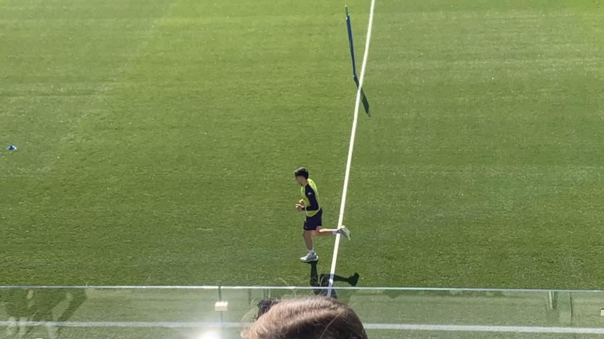 Mandragora a parte per recuperare dall'infortunio, per tre lavoro programmato