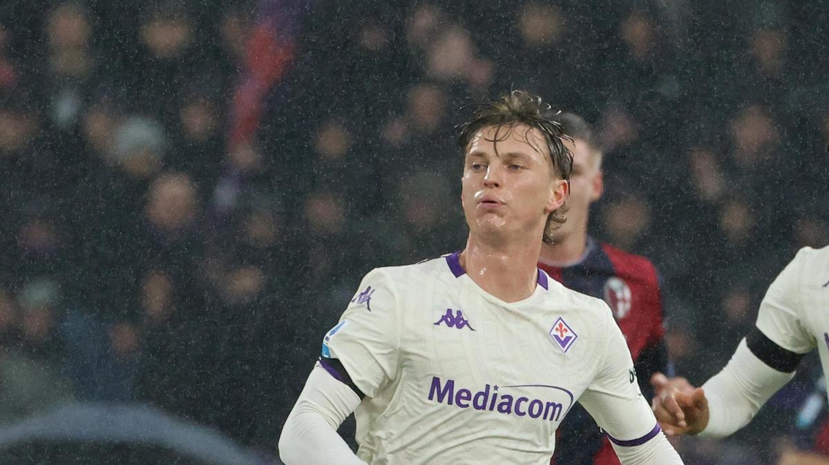 Immagine strip Primo Piano n.2