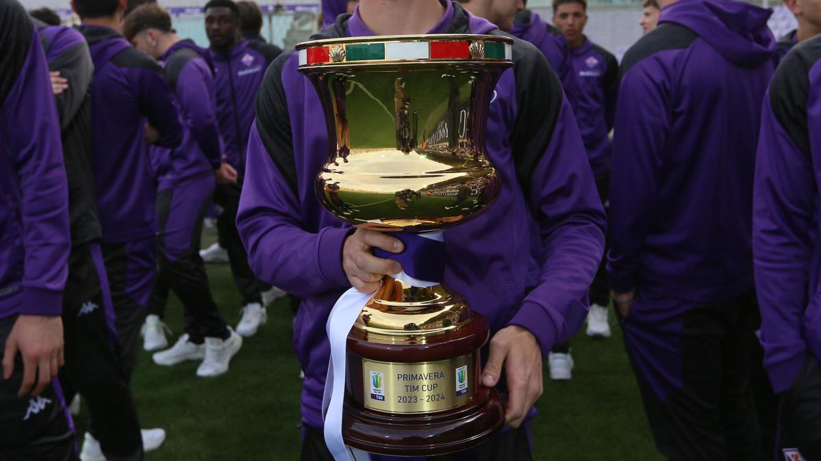 Immagine strip Primo Piano n.2