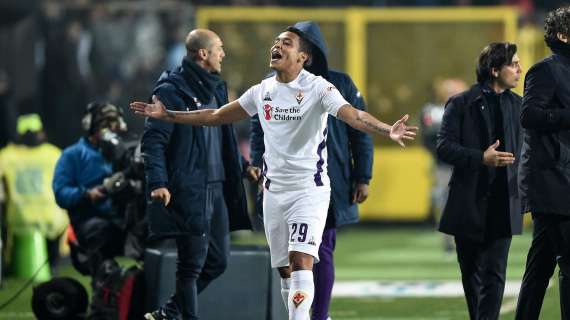 FIORENTINA-ATALANTA, Precedenti, numeri ed ex