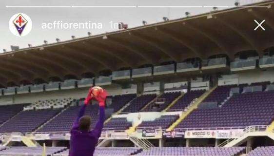 FOTO, L'allenamento della Fiorentina al Franchi