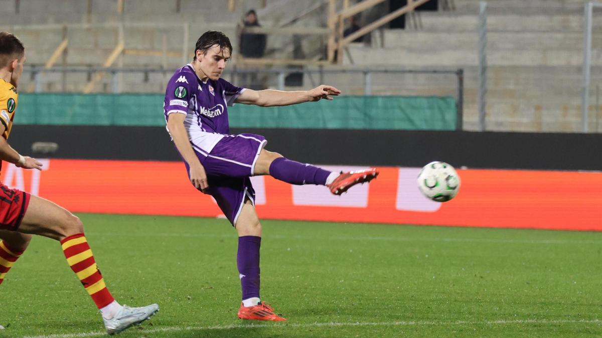 Immagine strip Primo Piano n.2