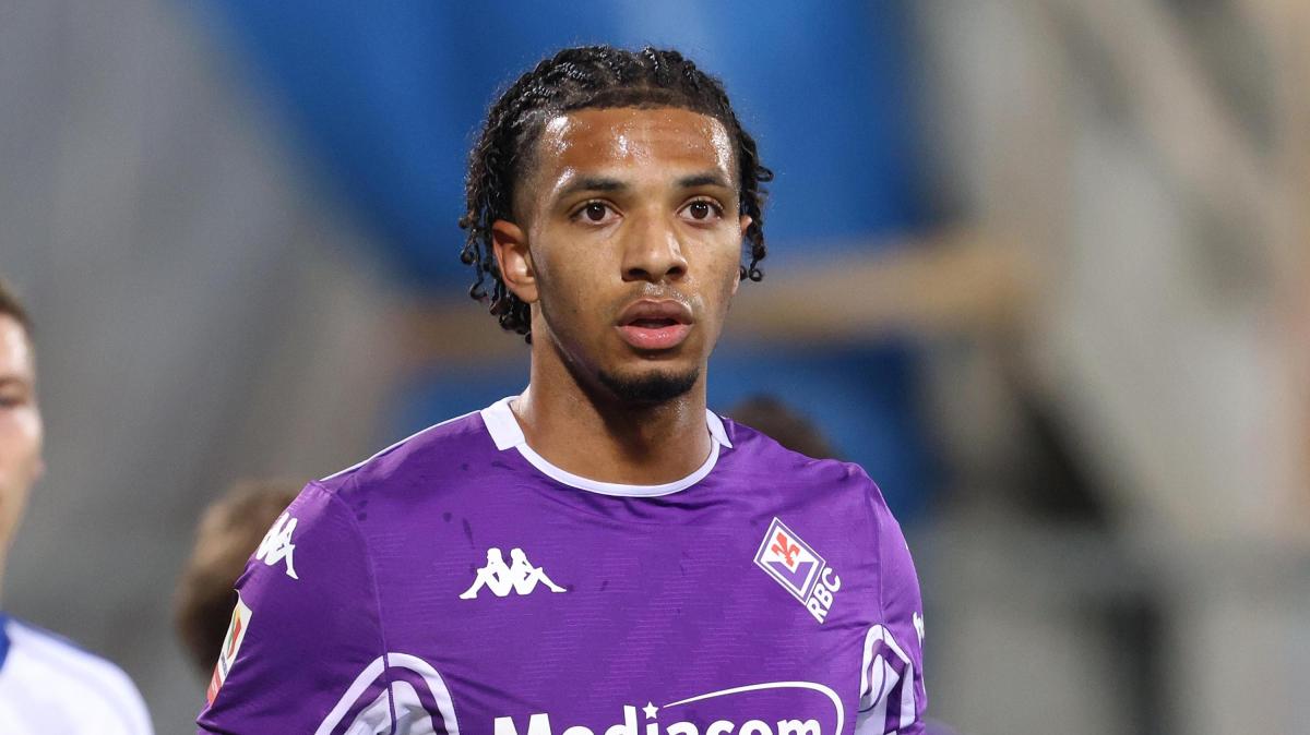 Immagine strip Primo Piano n.2