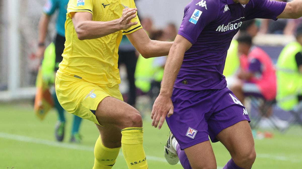 Immagine strip Primo Piano n.3