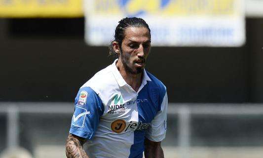 SCHELOTTO, Anche il Sion in corsa per El Galgo