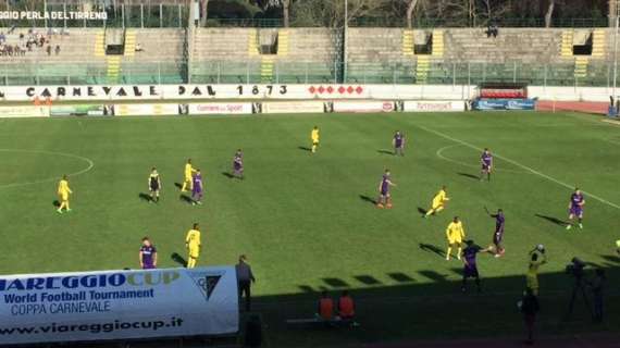 FIORENTINA-PANTHERS, I PIÙ ED I MENO DELLA SFIDA