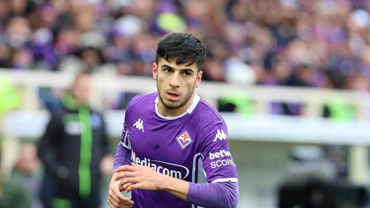 Immagine strip Primo Piano n.2