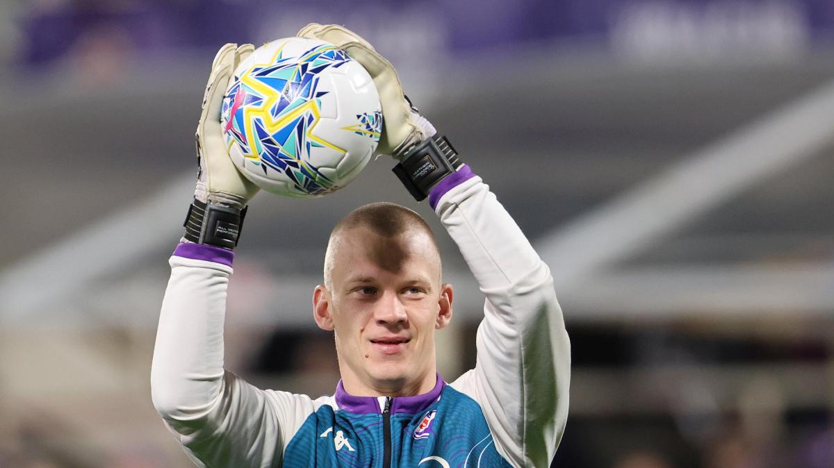 Immagine strip Primo Piano n.2