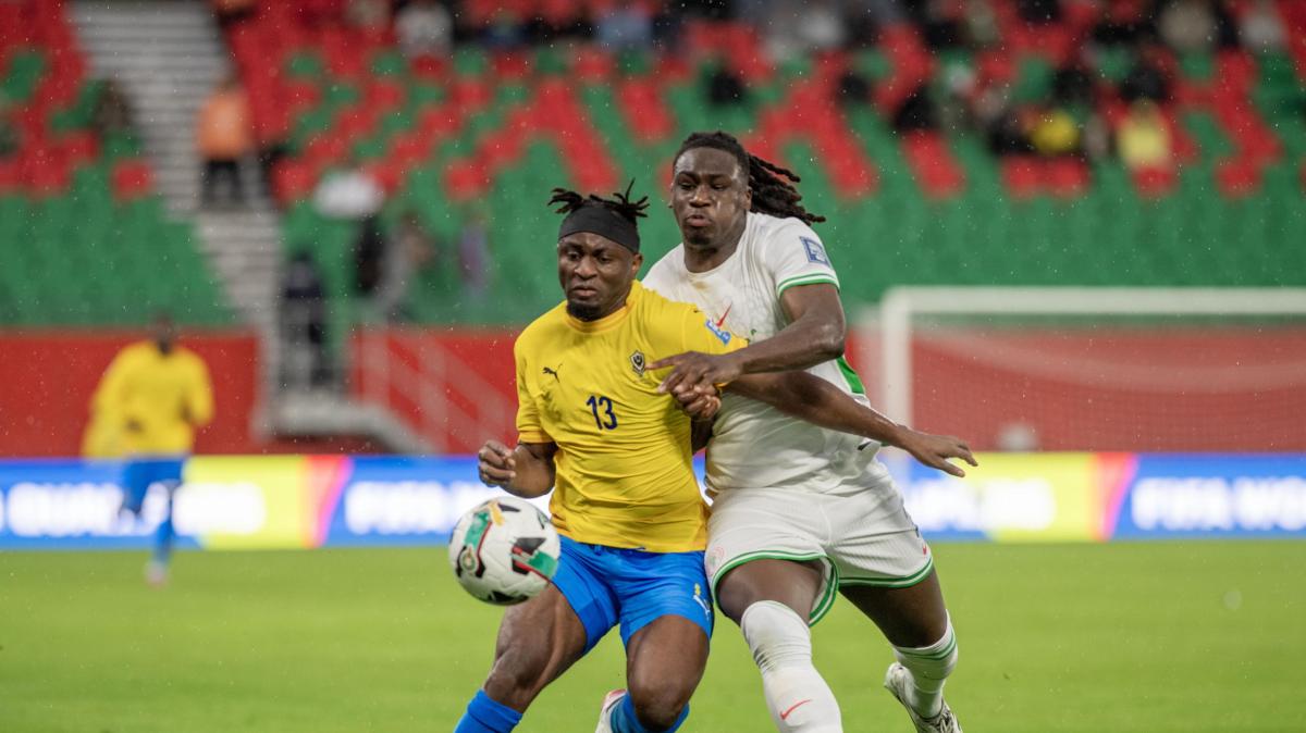 Coppa d'Africa, Gabon eliminato ai gironi: il governo del Paese licenzia tutti