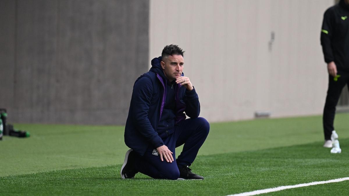 Immagine strip Primo Piano n.2