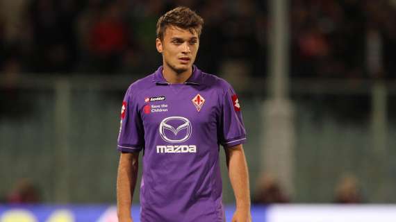 LJAJIC, Un ministro serbo difende il viola