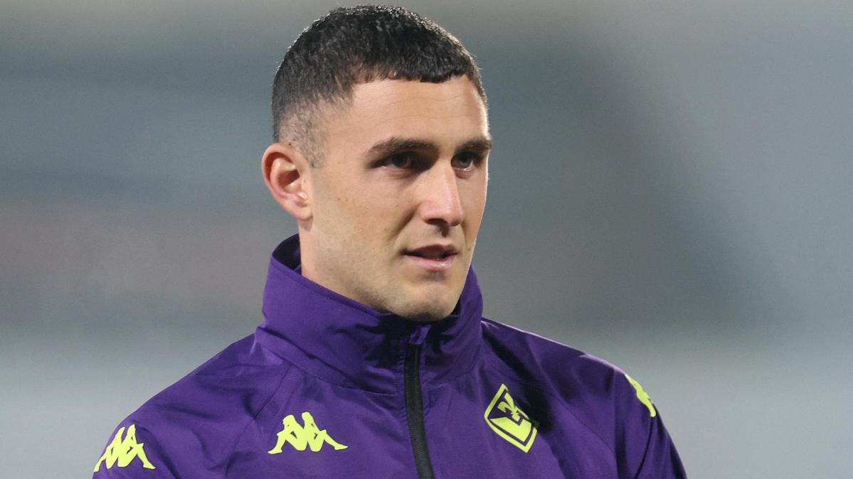 Immagine strip Primo Piano n.2