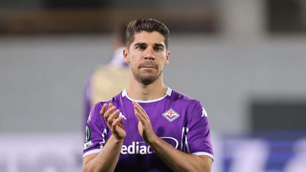 Primo piano Firenze Viola