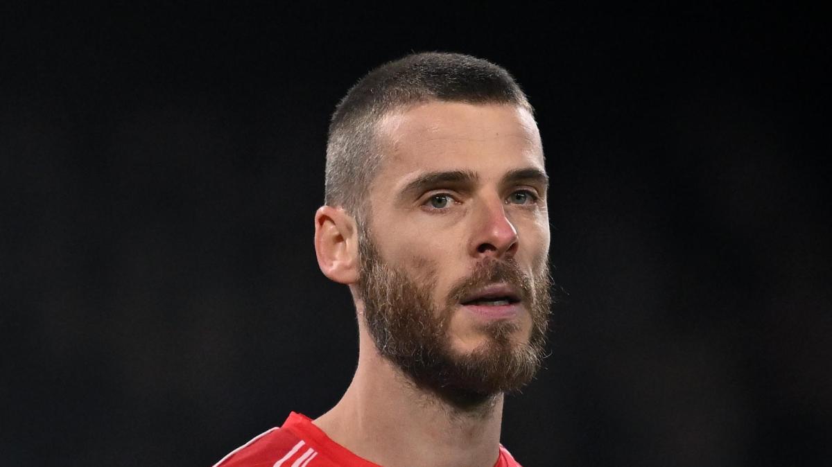 De Gea commenta la vittoria contro il Pisa: "Passione, lotta, Viola"