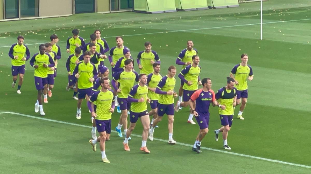 Immagine strip Primo Piano n.2