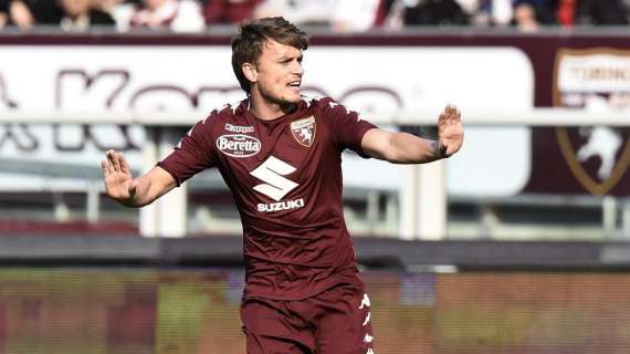 LJAJIC, Da anarchico a risorsa. Si è preso il Torino