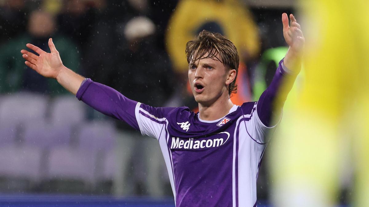 Immagine strip Primo Piano n.2