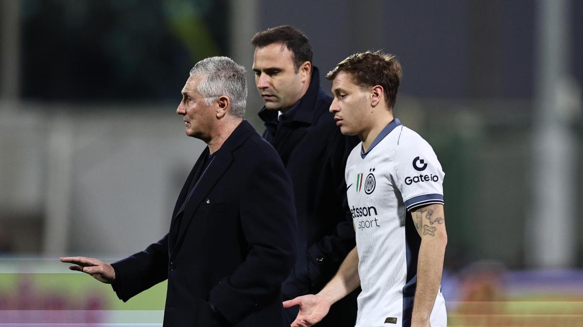 Immagine strip Primo Piano n.2