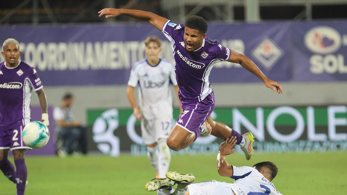 Immagine strip Primo Piano n.3