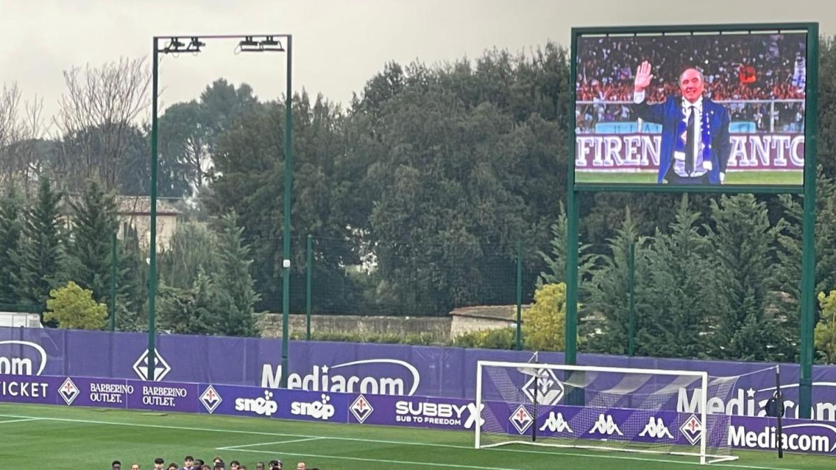 Immagine strip Primo Piano n.2