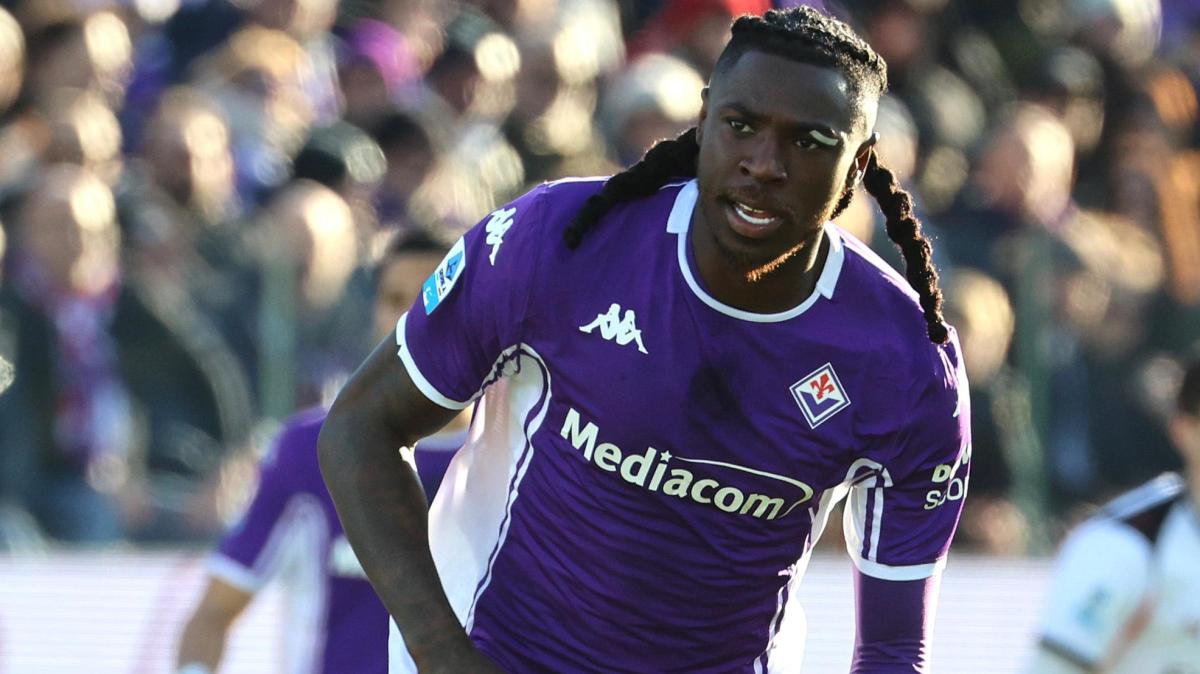 Immagine strip Primo Piano n.4