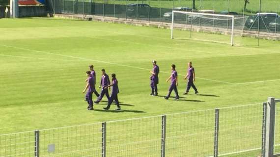 VIDEO FV, La Primavera viola sul campo di Venaria